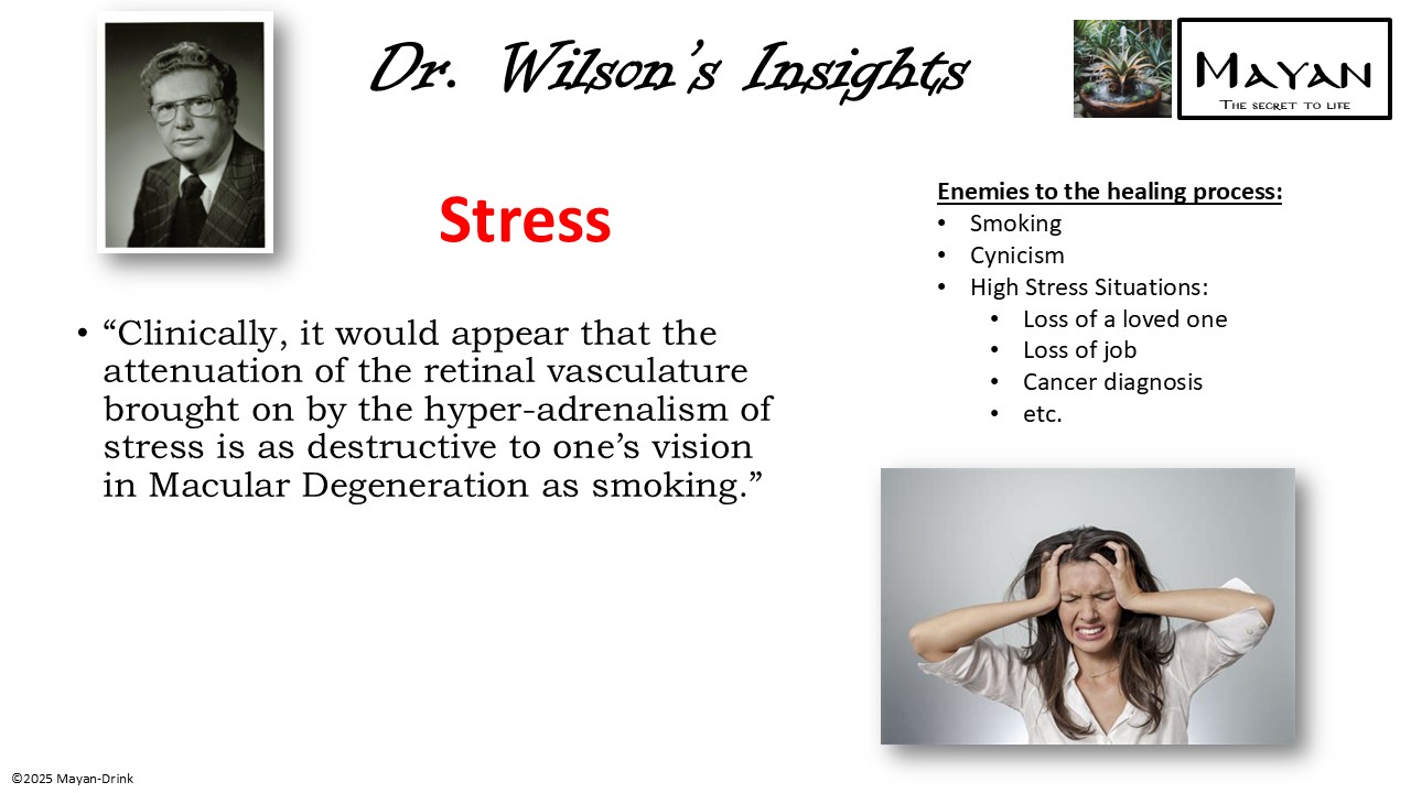 Slide 15