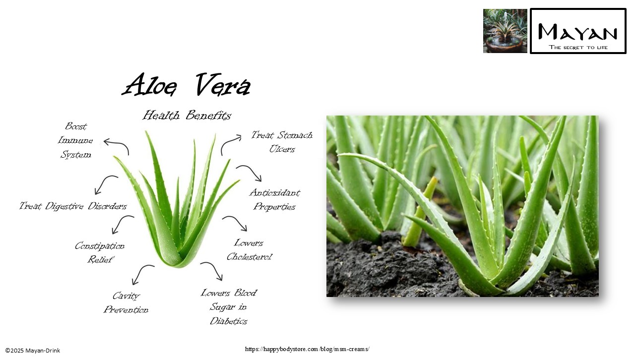 Slide 1